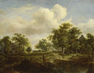 A Woodland Glade